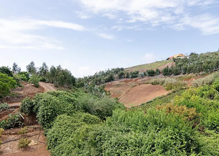 Vila Vv El Alpendre Moya (Gran Canaria)