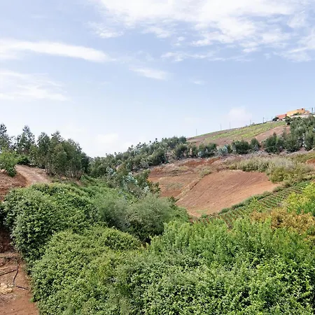 Willa Vv El Alpendre Moya (Gran Canaria)